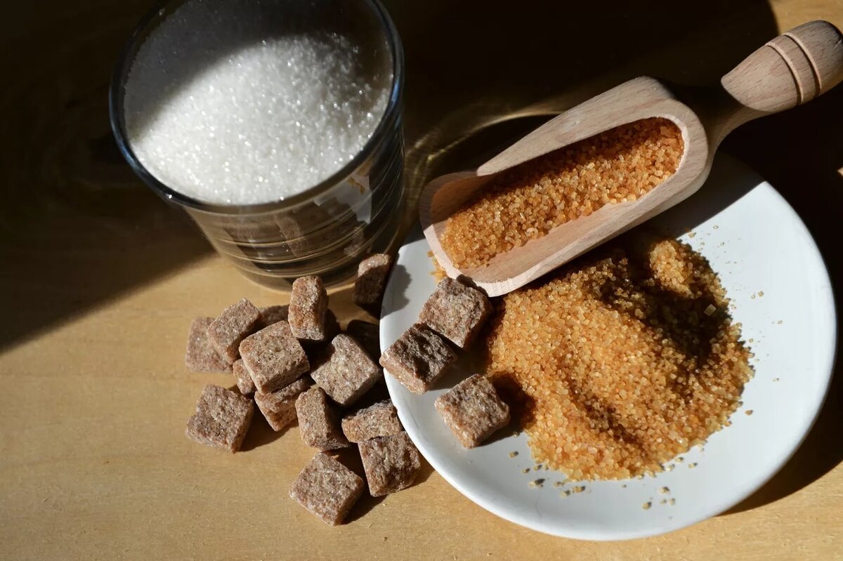 © Sputnik / Павел Лисицын