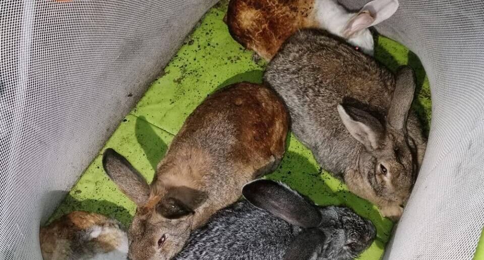 ГКУ МО "Мособлпожспас"📷
