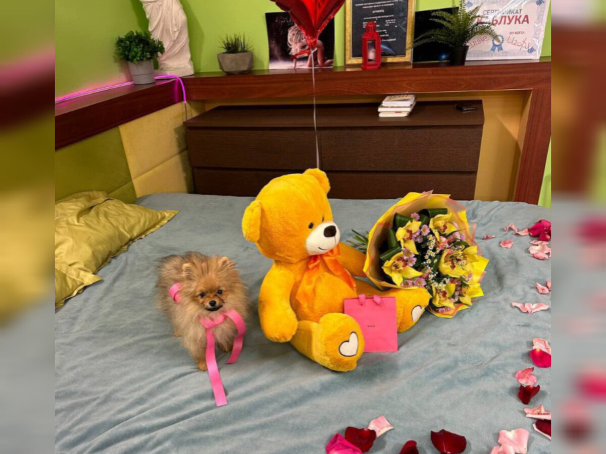 Новый член семьи Элины Рахимовой и Игоря Григорьева. Источник: соцсеть          (2 фото)