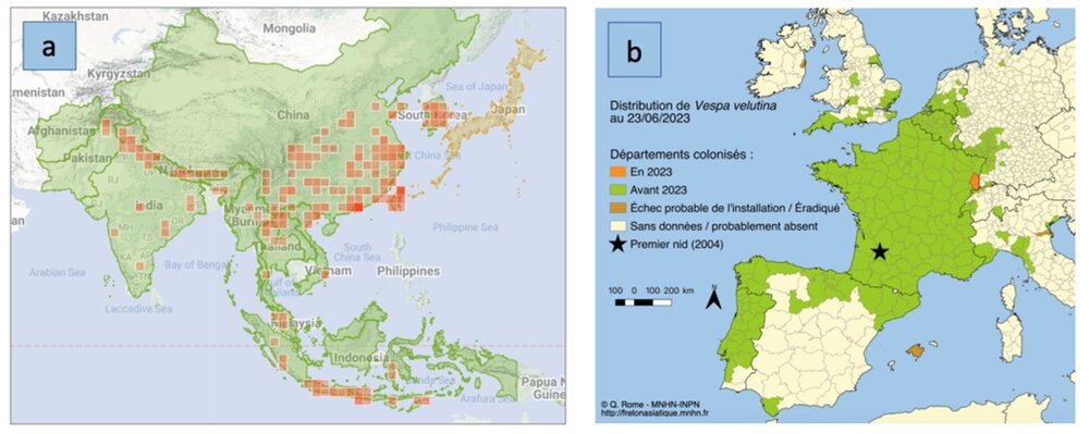 Источник: aphis.usda.gov 