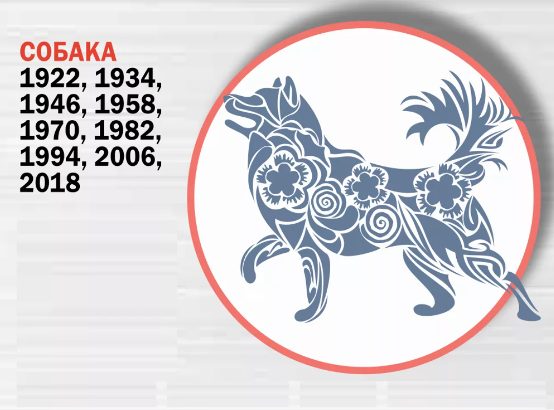 Знак зодиака собака года. Восточный гороскоп собака. Знак собаки китайский гороскоп. Восточный календарь год собаки. Знаки восточного гороскопа по годам.