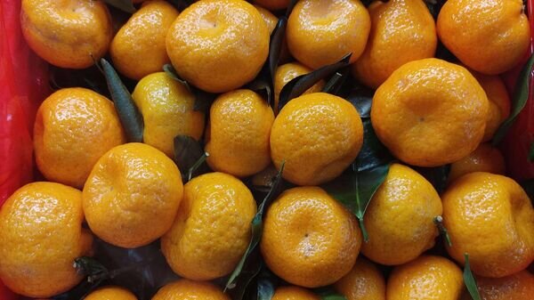    © Sputnik / Ольга Деменчук