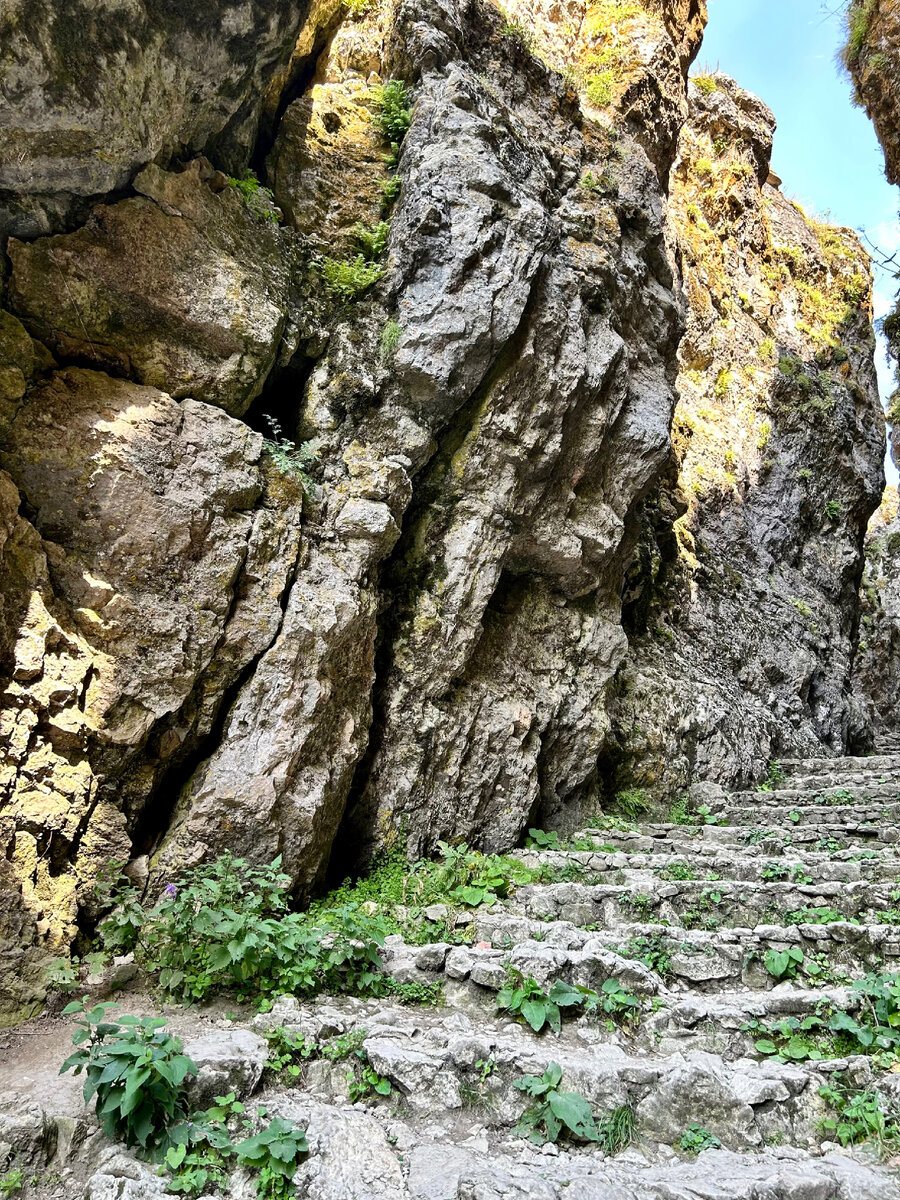 Тропинка Толстого