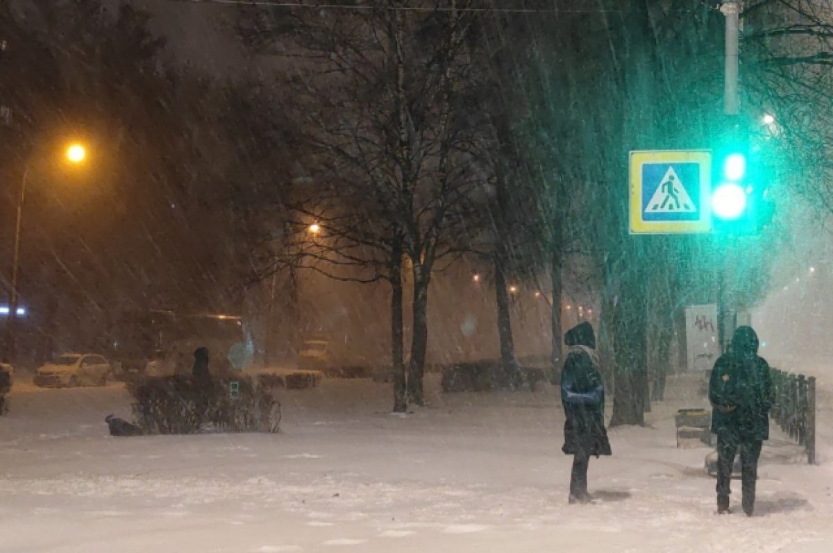    В МЧС предупредили омичей об ураганном ветре 3 и 4 декабря