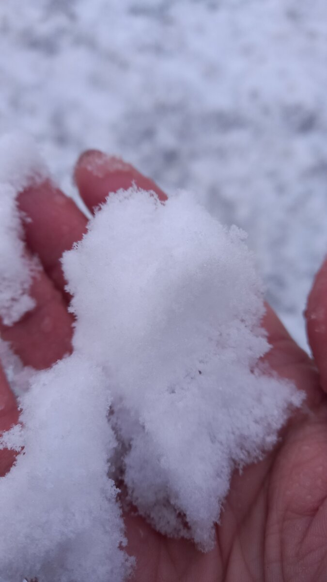 Фото автора.