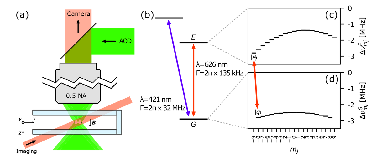   Damien Bloch et al. / Physical Review Letters, 2023