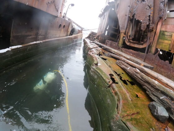     Фото: Tazmar Maritime