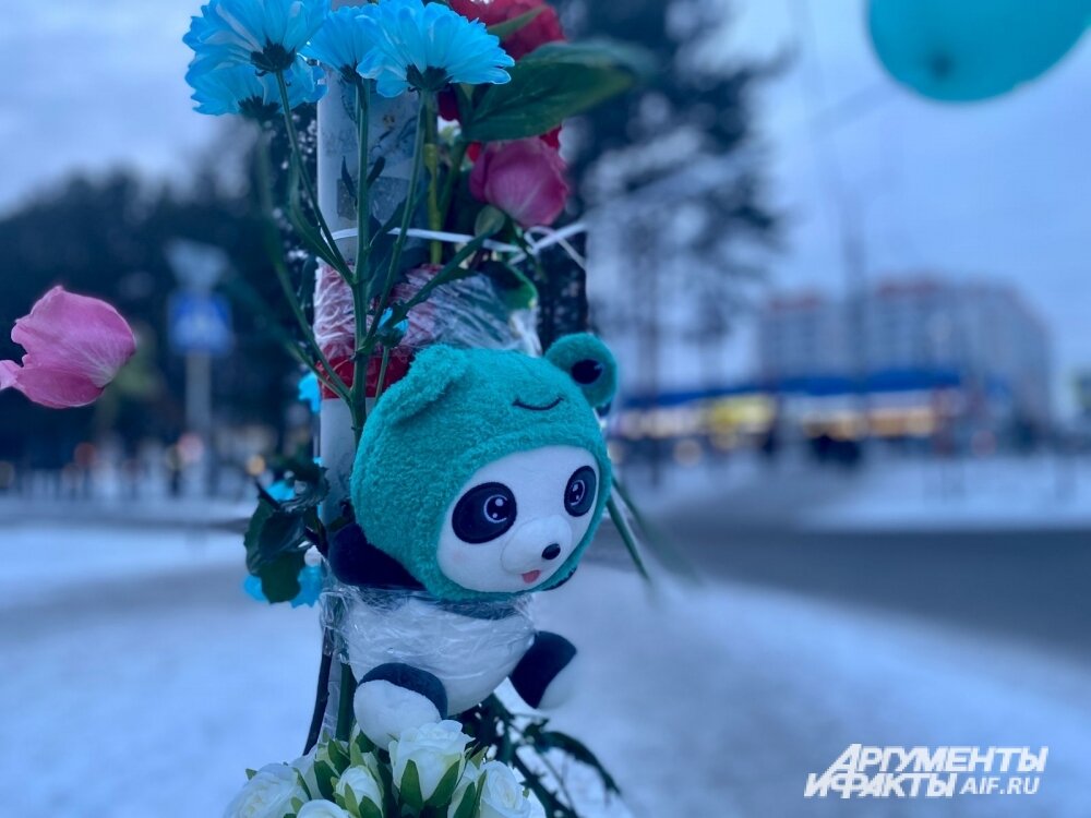    Горожане видят игрушки на столбе и недоумевают: что здесь произошло? Фото:  АиФ/ Анна Городкова