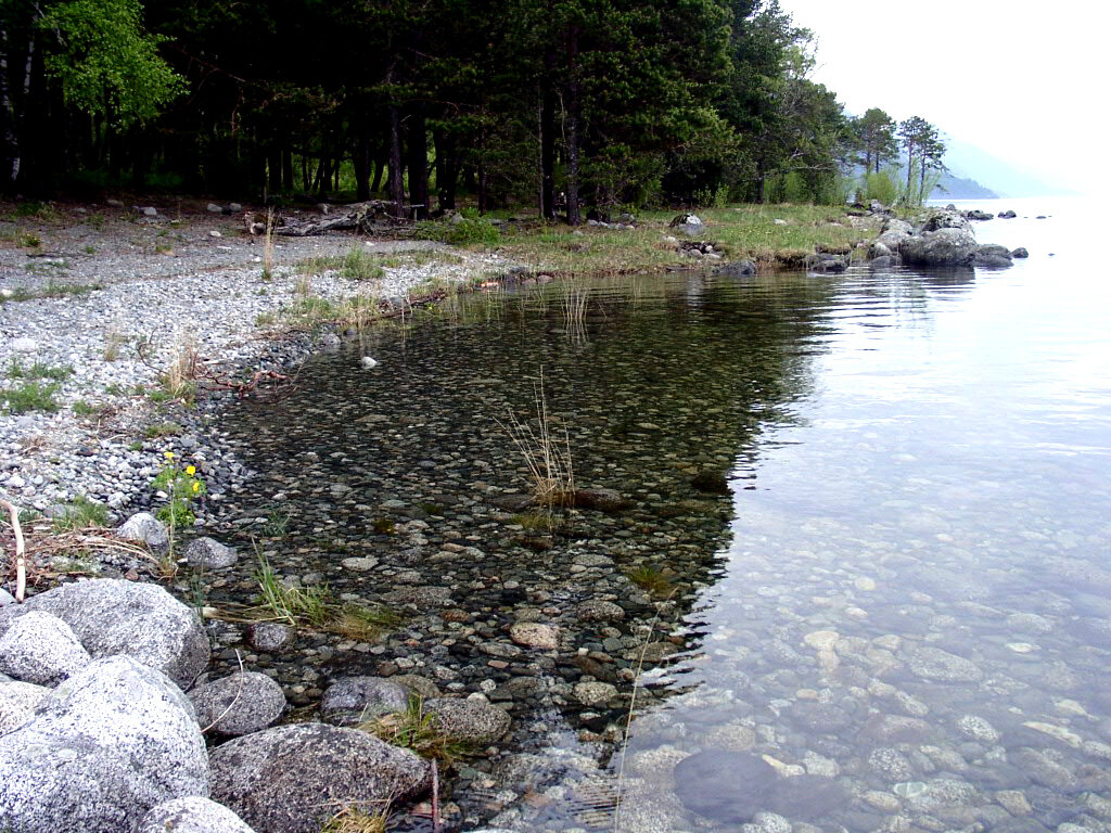 Кордон Кокши. Телецкое озеро. Кордон заповедника назван по имени живописной речки, впадающей в Телецкое озеро, в устье которой он и расположен. Сия река берет свое начало из одного верхового болота вместе с другой речкой по имени Абакан. Только Кокши течет на запад и впадает в Телецкое озеро, а Абакан течет на восток и впадает в Енисей. Республика Алтай. Фото автора.