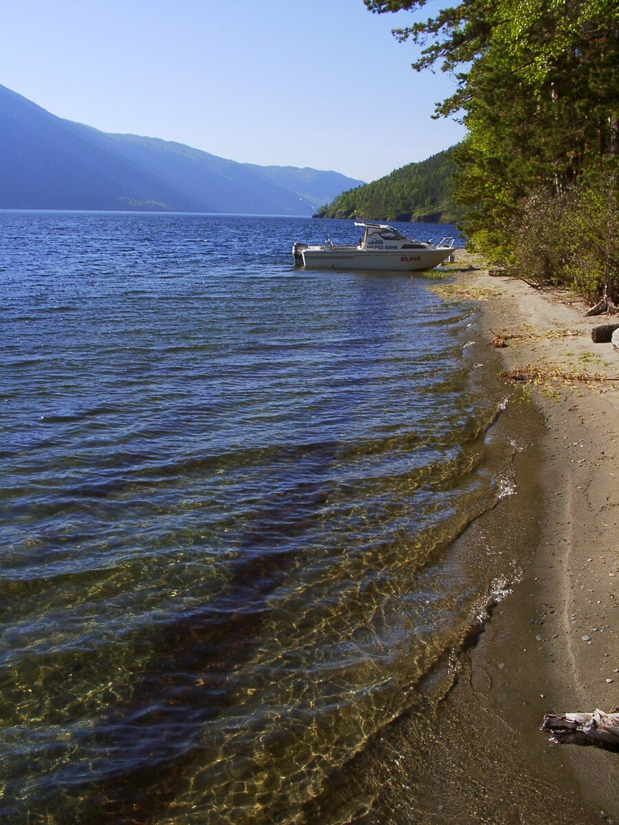 Большая вода. Кордон Кокши. Телецкое озеро. Любимый мишкин катер "Элвис". Фото автора.