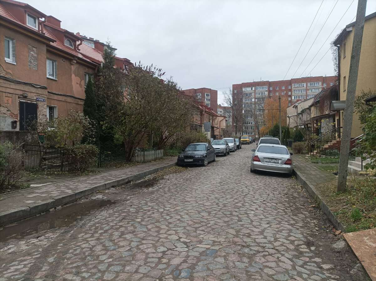 Улица Костикова, ноябрь 2023. Фото из личного архива.