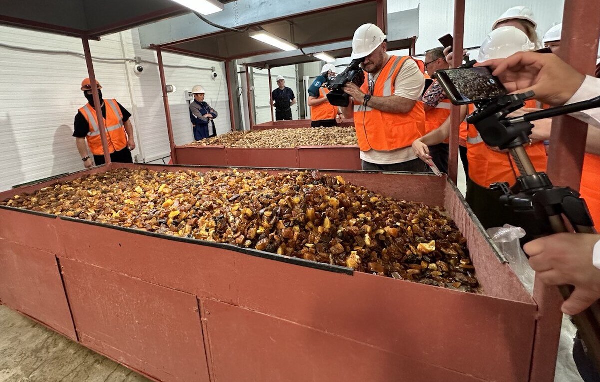 Янтарь таможенный эксперт оценил в 443,5 тысячи рублей.  Фото: Фото: ФедералПресс / Алена Людвиг