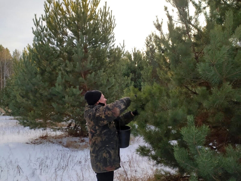    Фото: Minleshoz.pnzreg.ru