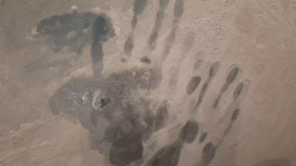     Морозы до -29 градусов ожидаются на севере Нижегородской области с 8 по 10 декабря. Об этом жителей предупредили в ГУ МЧС России по региону.