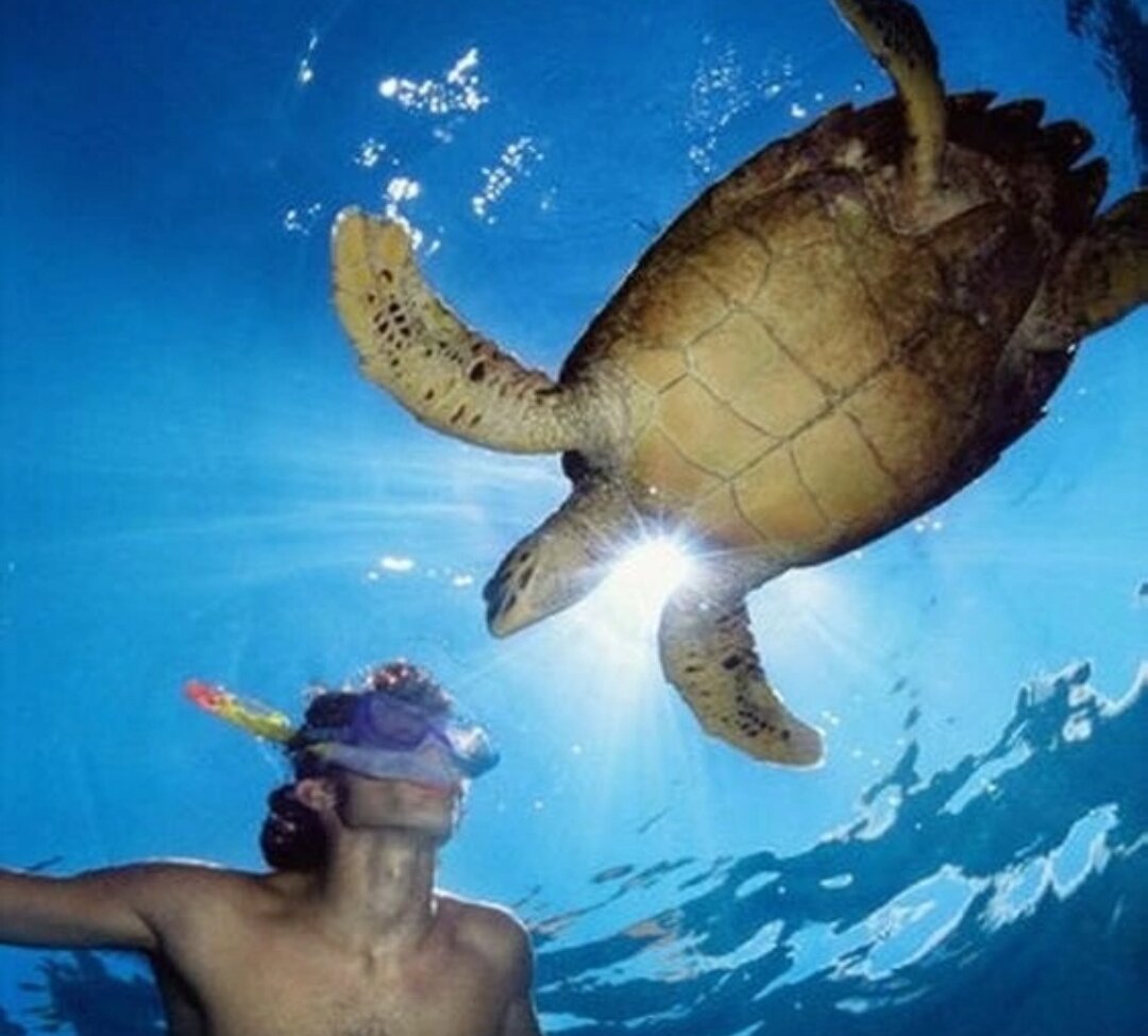 Фото www.lenaktmal.com