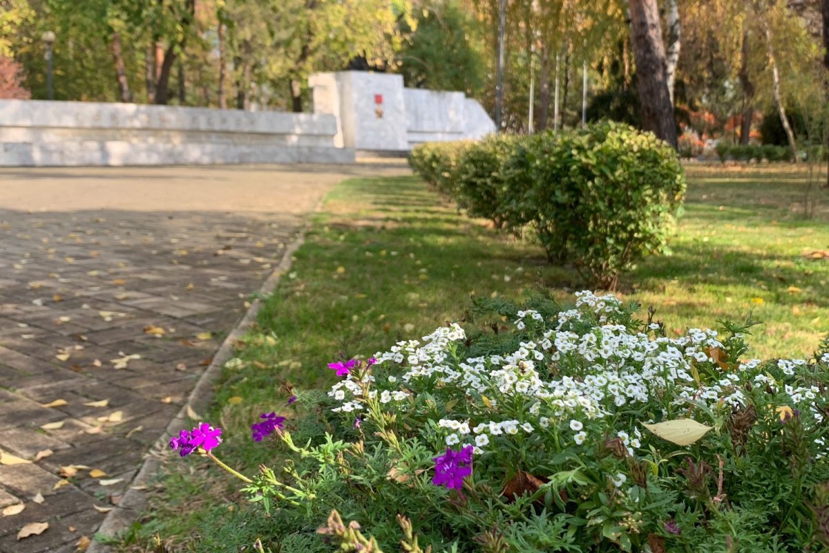    В первые выходные декабря на Кубани потеплеет до +19 градусов