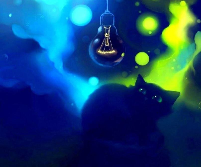 Картинка из свободного доступа в интернете