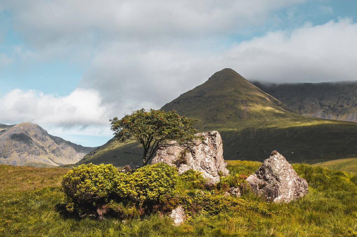 Фото с бесплатного фотоистока https://unsplash.com, автор Elliot Voilmy