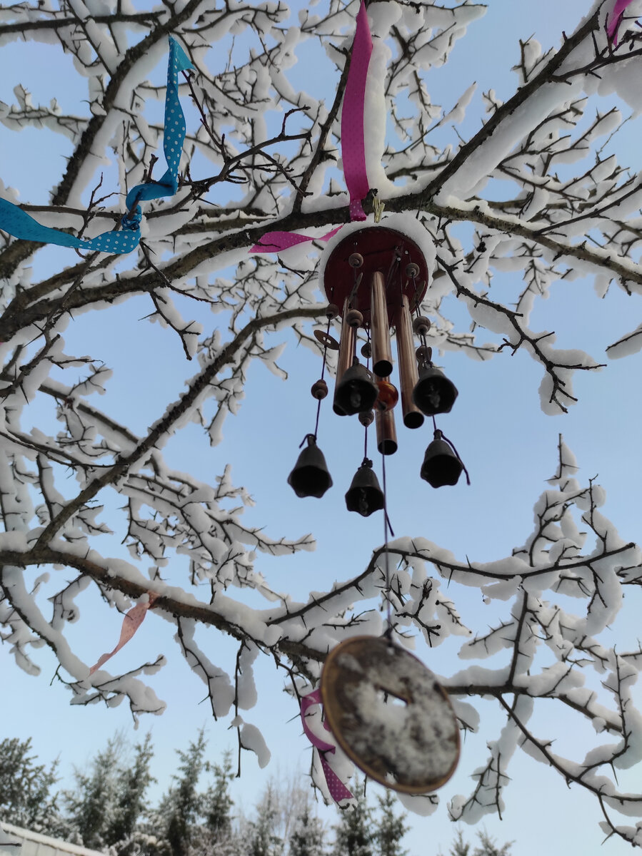 Дзен дерево