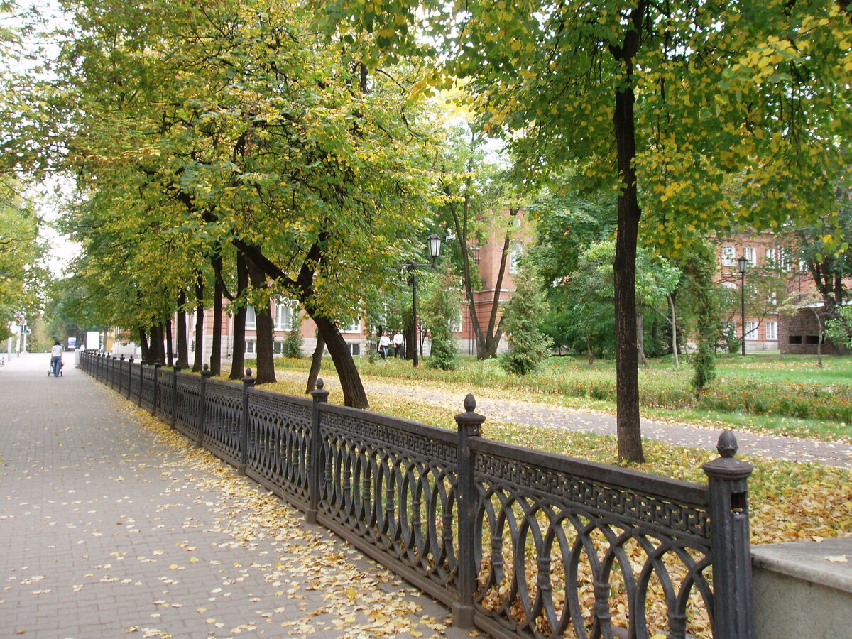 Фото: Алексей Чугунов