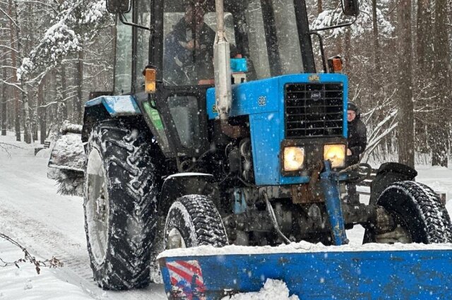    Фото: Пресс-служба Смольного