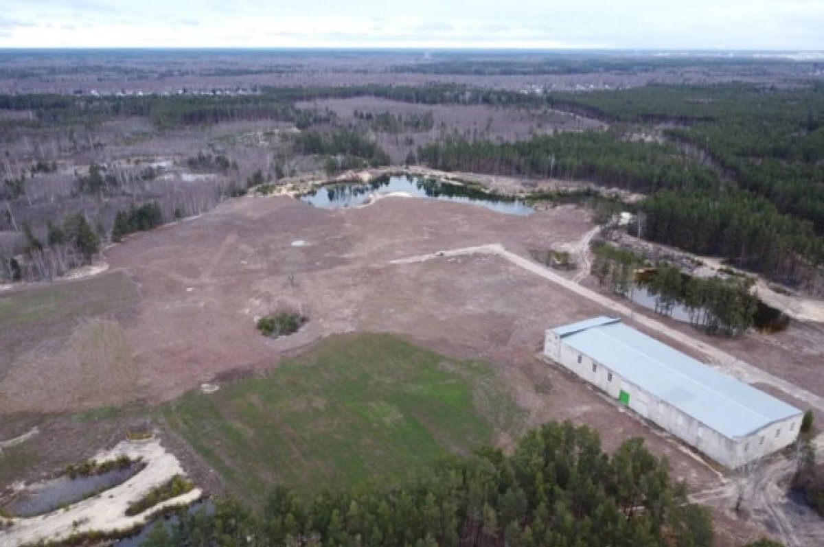    Нелегальные свалки убрали на Московском шоссе и в Первомайске