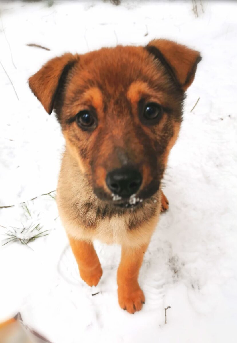 Ливия, когда была совсем маленькой 