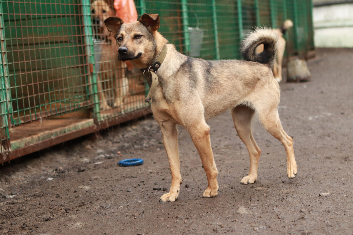 Не важно, что написано на страницах. Важно, что написано в сердце. 