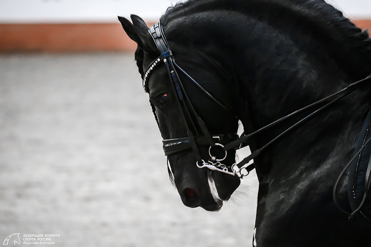 фото Виктории Федуловой