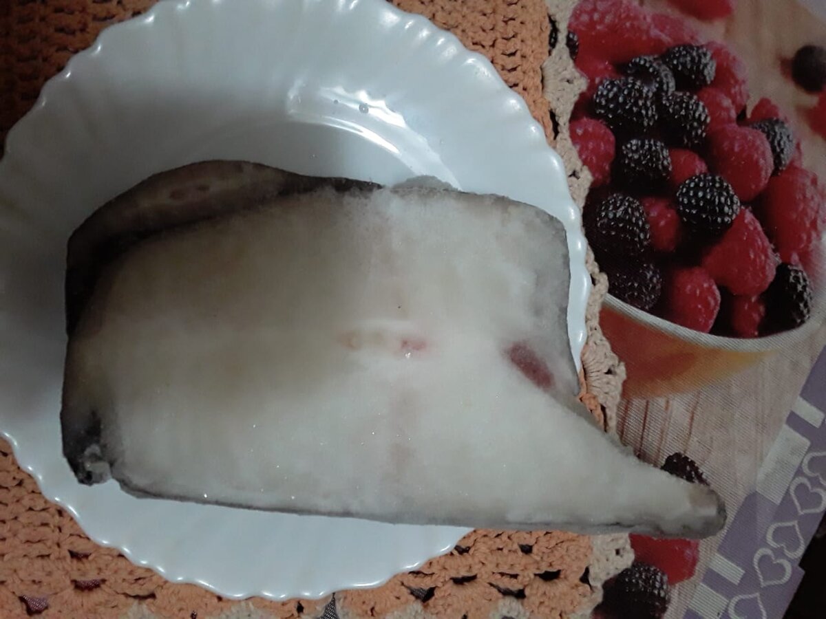 Замороженный кусок зубатки.