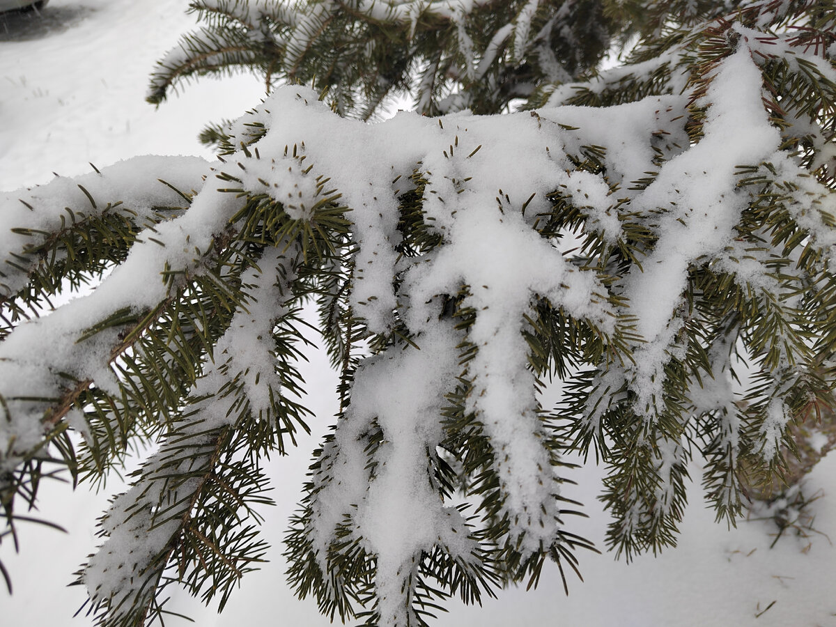 Фото автора канала.