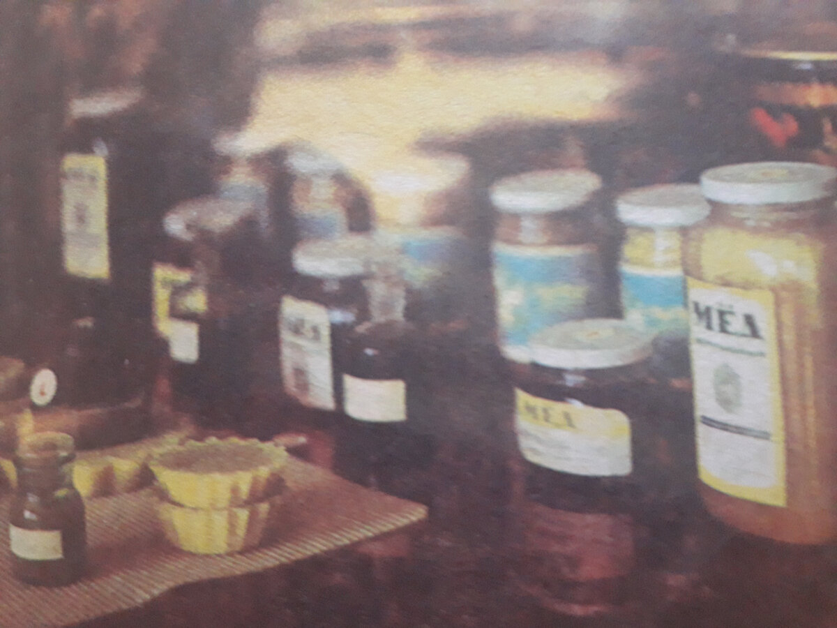 Разнообразие пчелопродктов