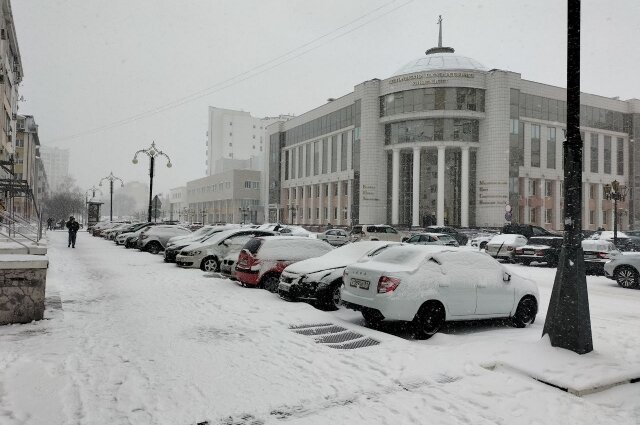    Фото:  АиФ/ Илья Романов