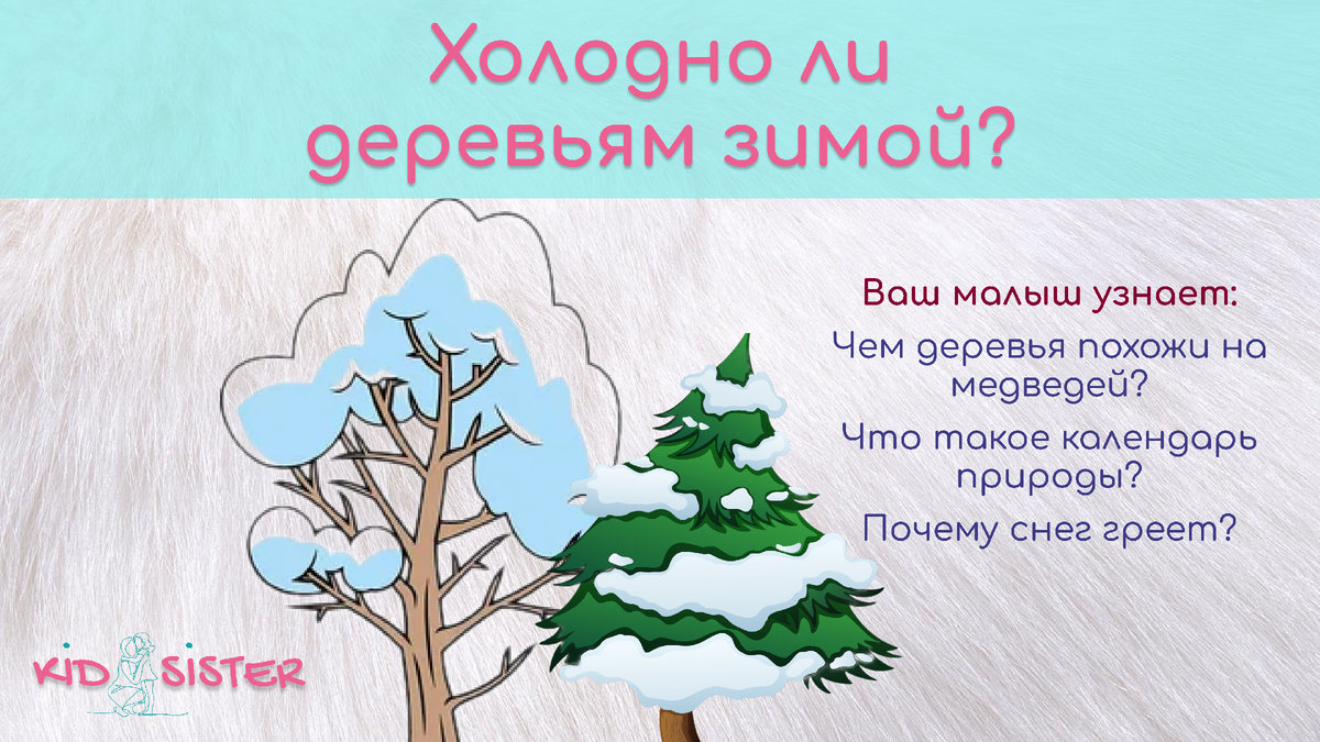 Мороз до - 24,8 °: метеоролог о рекордах температур в феврале в Прикамье АиФ Пер