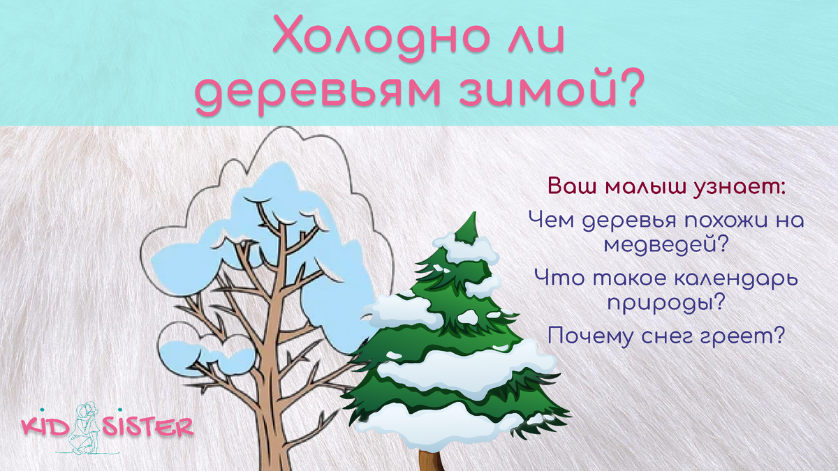 Почему деревья не замерзают?