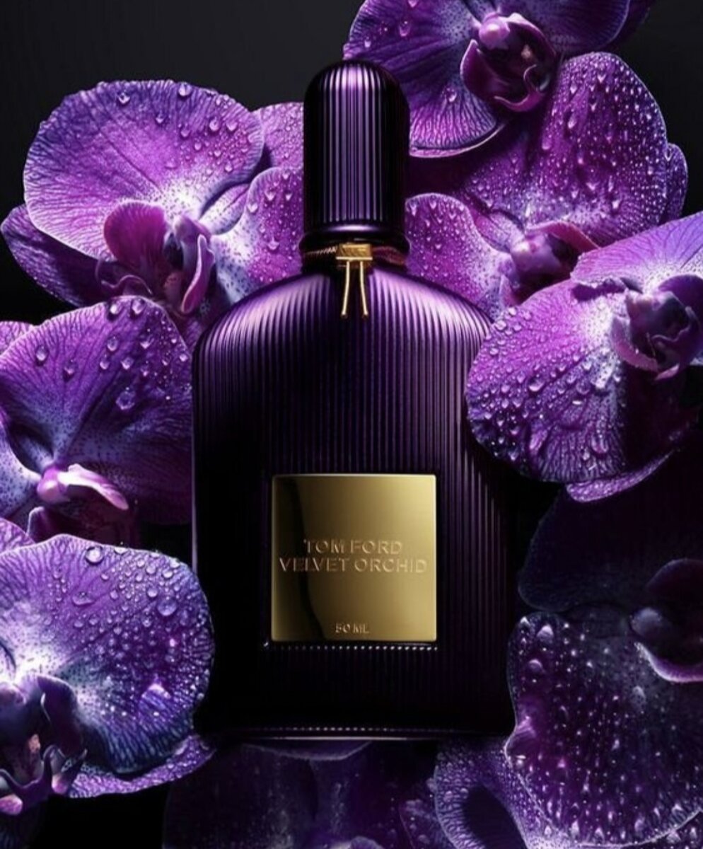 Две сестры - и такие разные. Black и Velvet Orchid Tom Ford. | Секреты  моего Мира Ароматов | Дзен