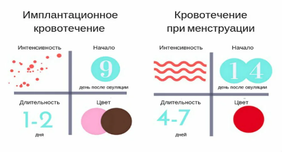 Могут ли идти месячные при ранней беременности?