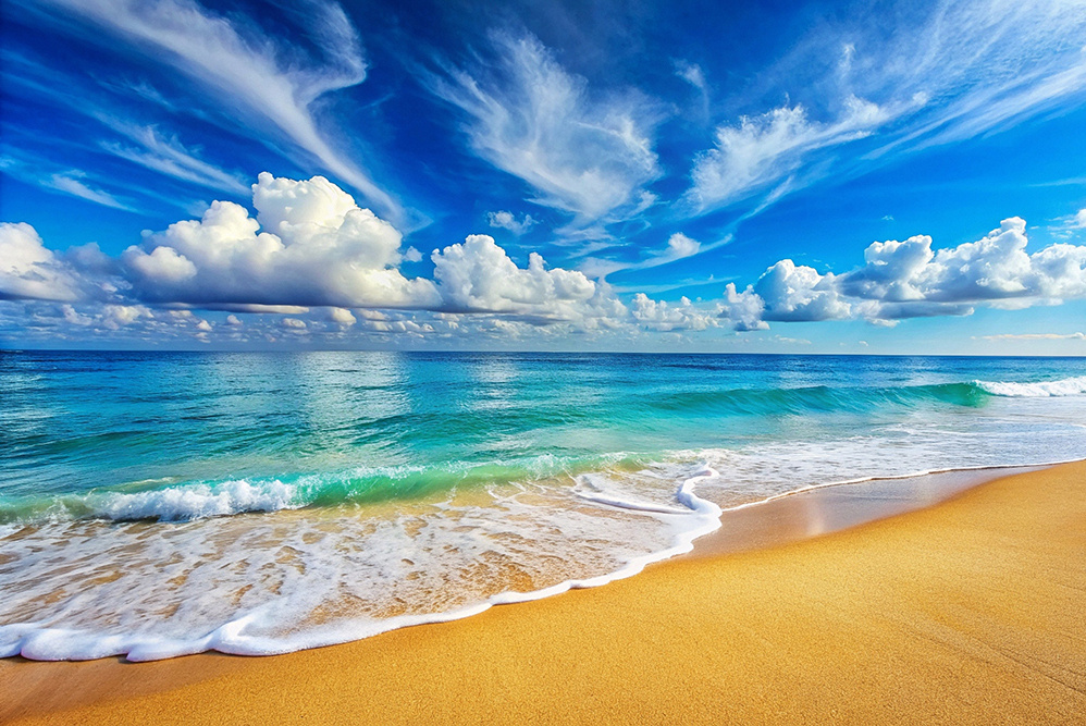 Картинка найдена на просторах интернета, ссылка https://yandex.ru/images/search?from=tabbar&img_url=https%3A%2Fi%2F.pinimg.com%2Foriginals%2Fa8%2F34%2Fа3f%2Fa83р43f81251с2879b5e7bd53274cf0591a19.jpg&lr=47&pos=15&rpt=simage&text=%D1%86%D0%B2%D0%B5%D1%82%D1%8B%20%D0%BA%D1%80%D1%83%D0%BF%D0%BD%D0%BE%20%D1%84%D0%BE%D1%82%D0%BE 