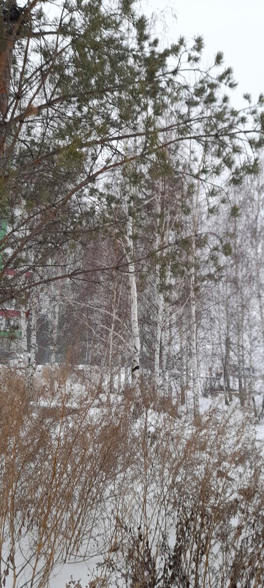 "Доброе утро, мир! Ты прекрасен!" Фото аатора