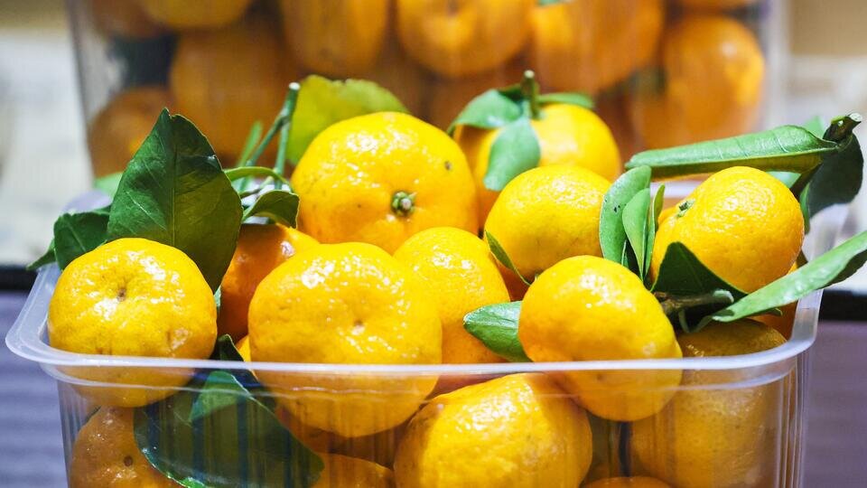 Фото: © ТАСС/Сергей Савостьянов