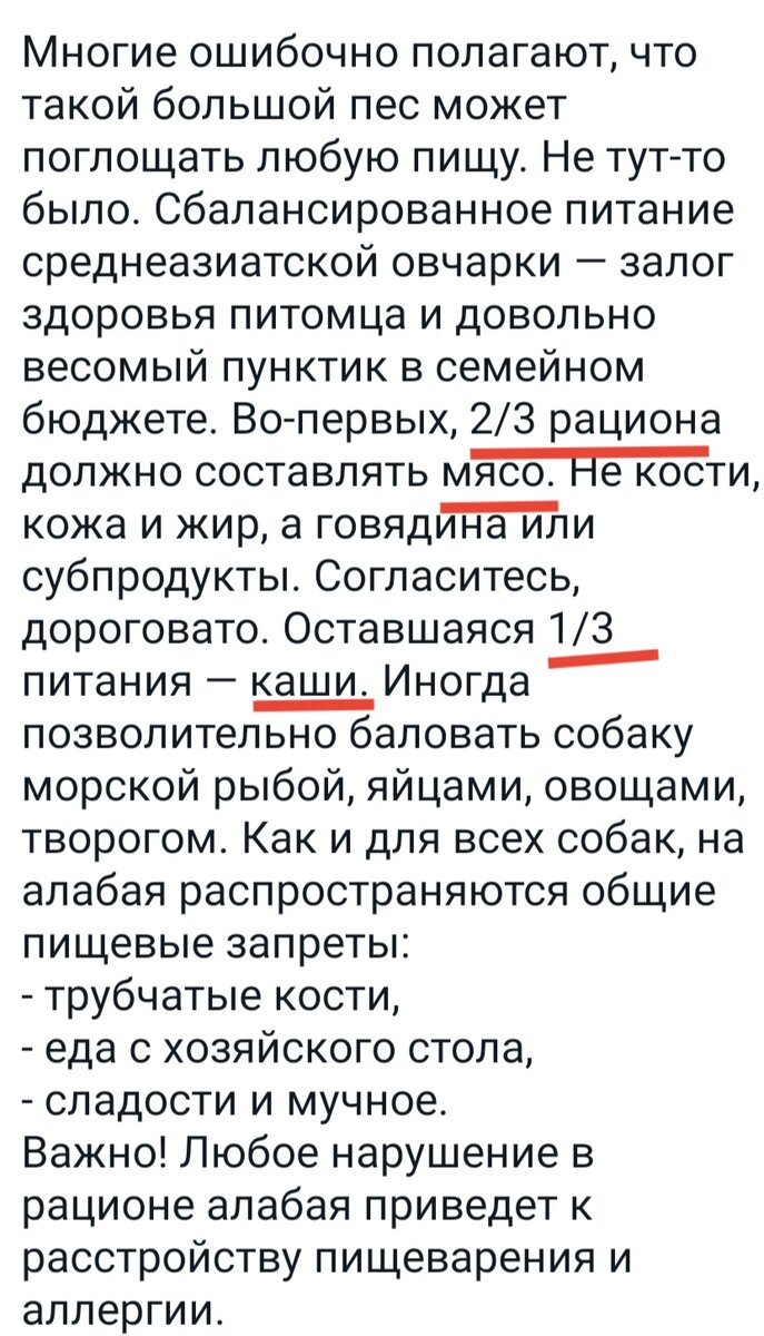 Предновогодняя суета или тихий ужас. | АНО 