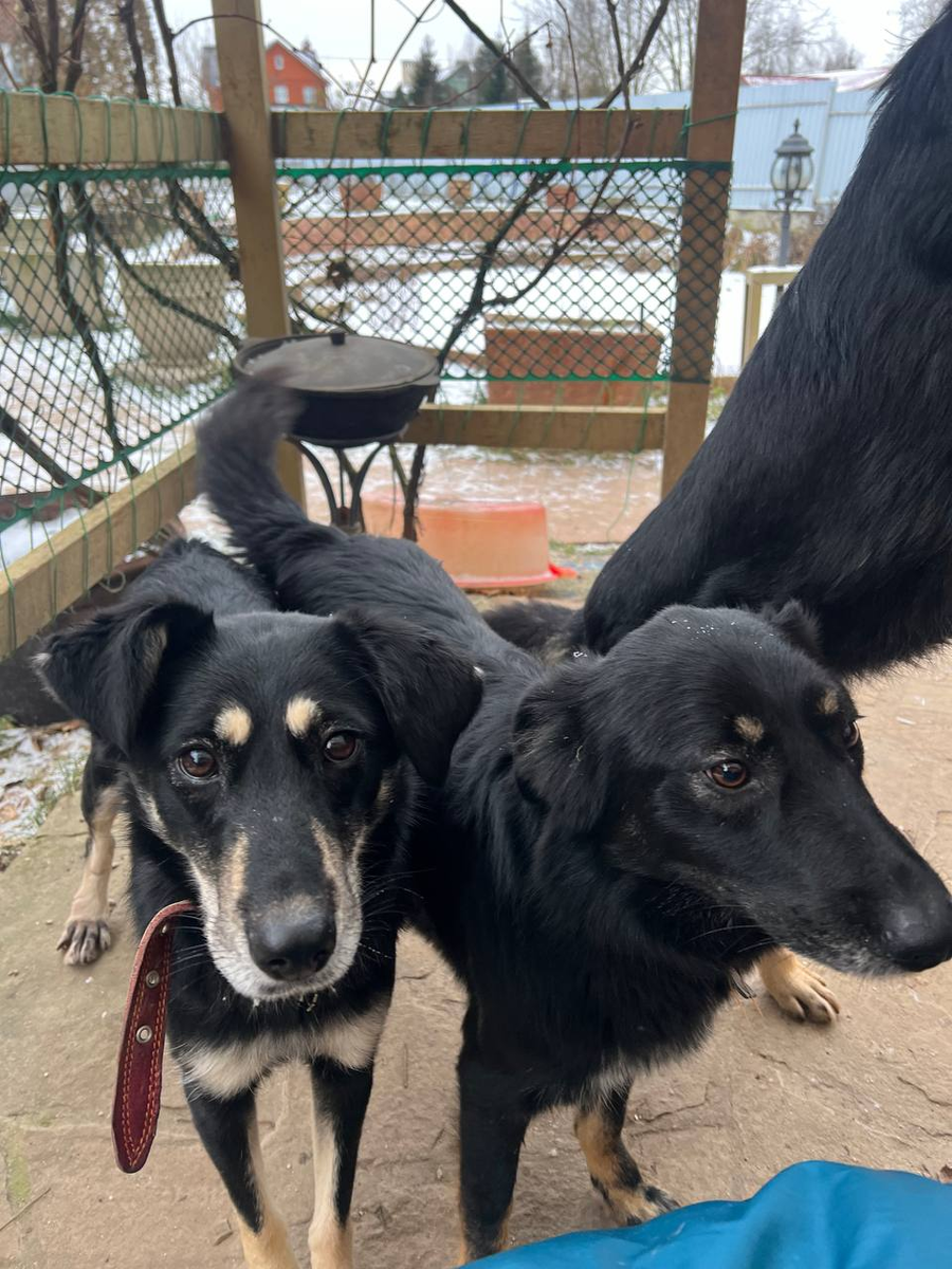 Клепа и ее невероятные трогательные глаза!