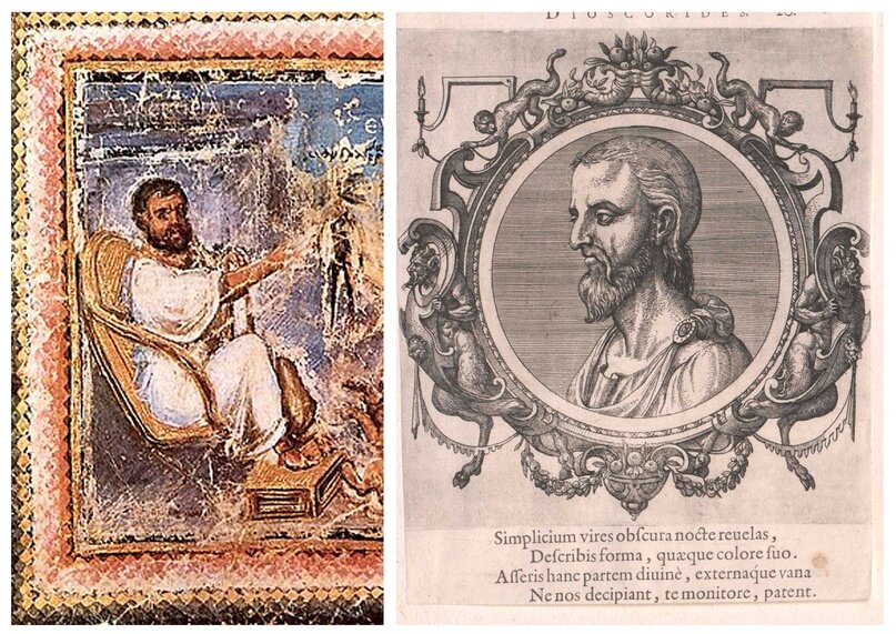 Диоскорид; фрагмент миниатюры из Венского Диоскорида (VI в. н.э.); гравюра Питера ван дер Борхт, 1603 г.