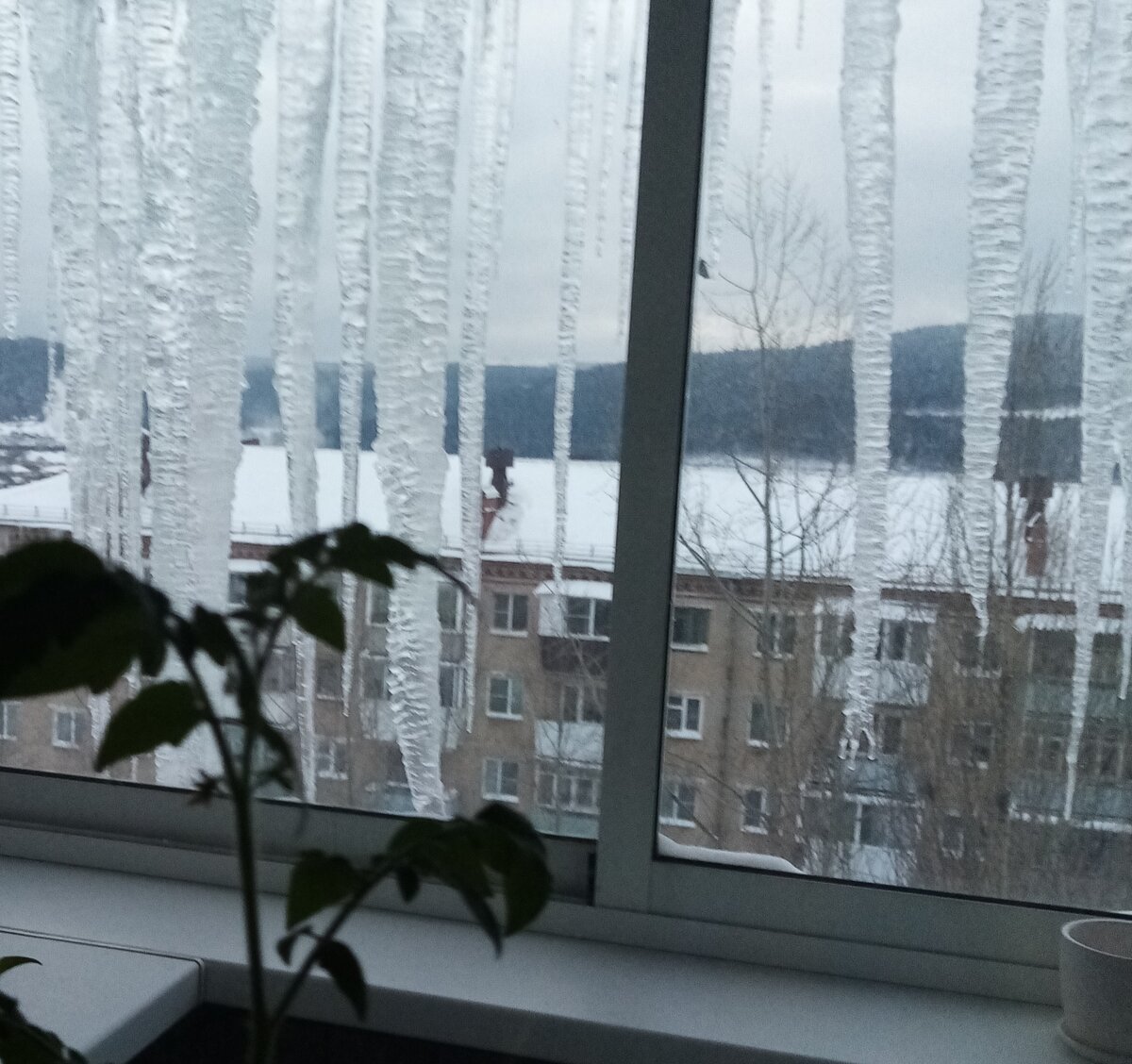 Сосульки во всё окно. 