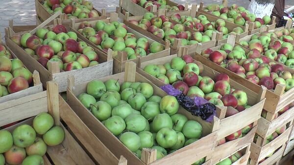    © Sputnik / Евгений Панасенко