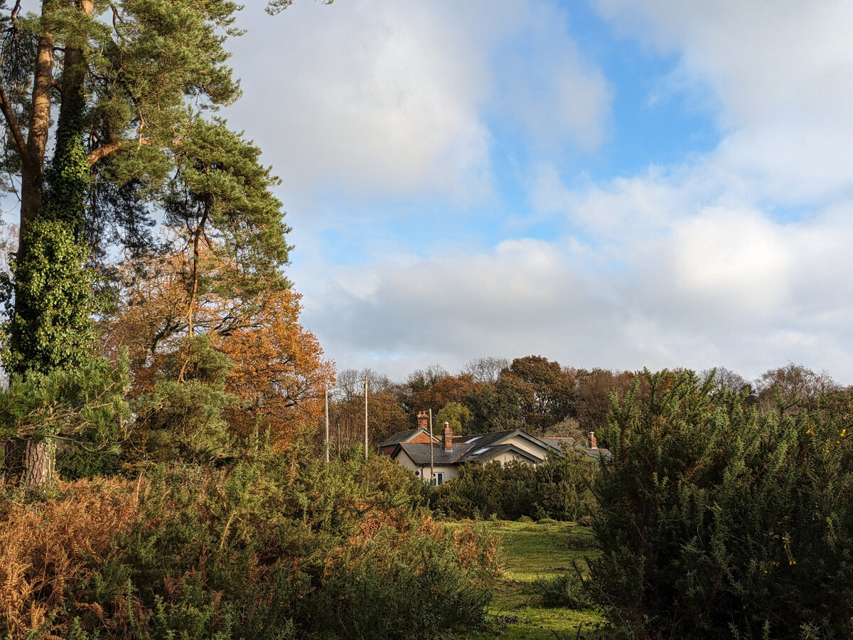 Дом в глуши. New Forest. Hampshire. Фото из личного архива 