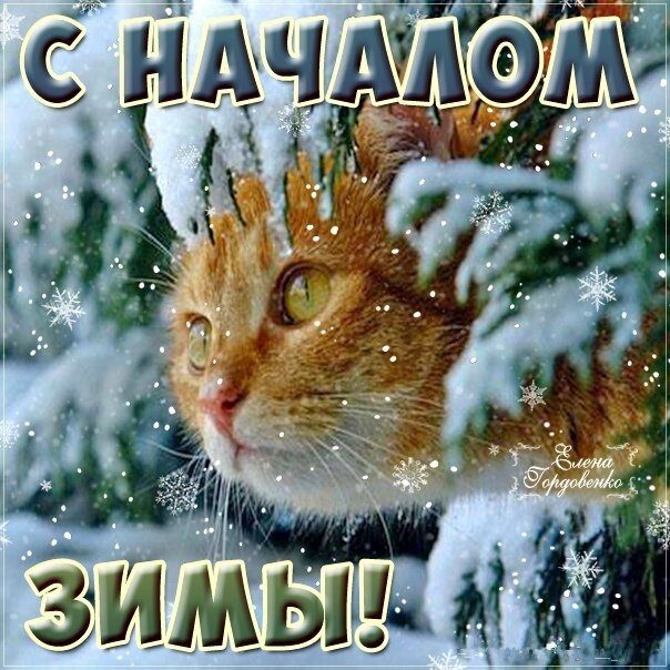 Картинка из интернета. 