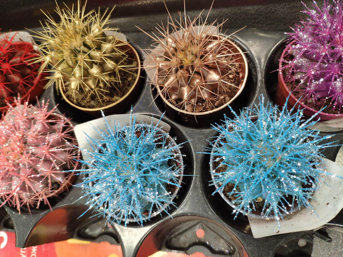 Подарок на Новый год.н