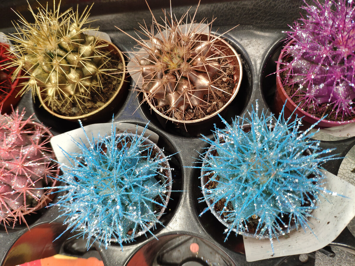 Новогодние подарки.