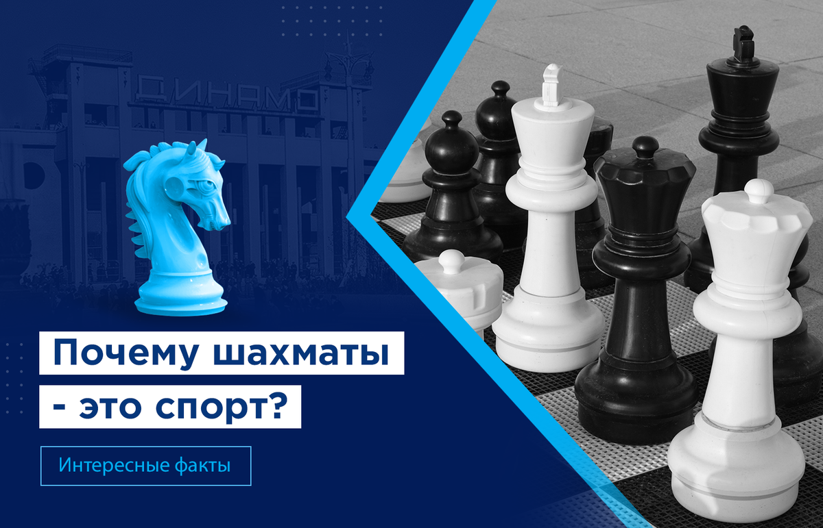 Почему шахматы спорт